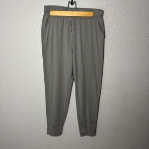 American Eagle Sweatpant Jogger Pant Grey Women Size M Pockets Lounge Casual